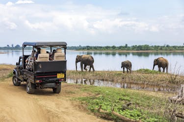 Udawalawa National Park-dagsafari vanuit Colombo